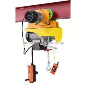 <span class=keywords><strong>Polipasto</strong></span> eléctrico personalizado de 220V Pa300 Cabrestante eléctrico 300kg Mini <span class=keywords><strong>polipasto</strong></span> eléctrico de cable - Product Image 1