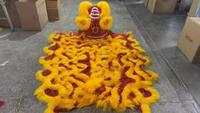 Lion danse dessin animé Costume Performance accessoire lion chinois danse Performance Double robe célébration série rouge