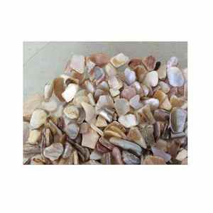 Éclats de coquillages colorés, naturels, légers, vente en gros, parfaits pour la décoration de mariage, les aquariums, les graviers de bateau et l'aménagement paysager - Product Image 4