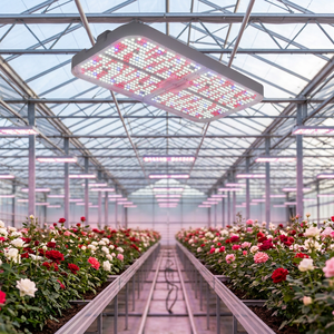 Meijiu Lighting Toplighting Ledstar High PPE 800W Grow <b>Light</b> for <b>Plant</b> Roses & Flower Cultivation - Product Image 1