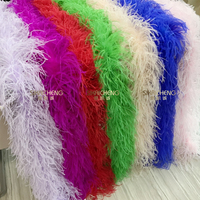 Haute qualité rouge 9ply pas cher plume d'autruche Boa autruche pour vêtements de danse robe latine accessoires de Costume