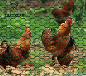 Flexible Poultry <strong>Netting</strong> Best <strong>Hexagonal</strong> Chicken Wire for Hobby Farmers and Backyard Coops - Product Image 5