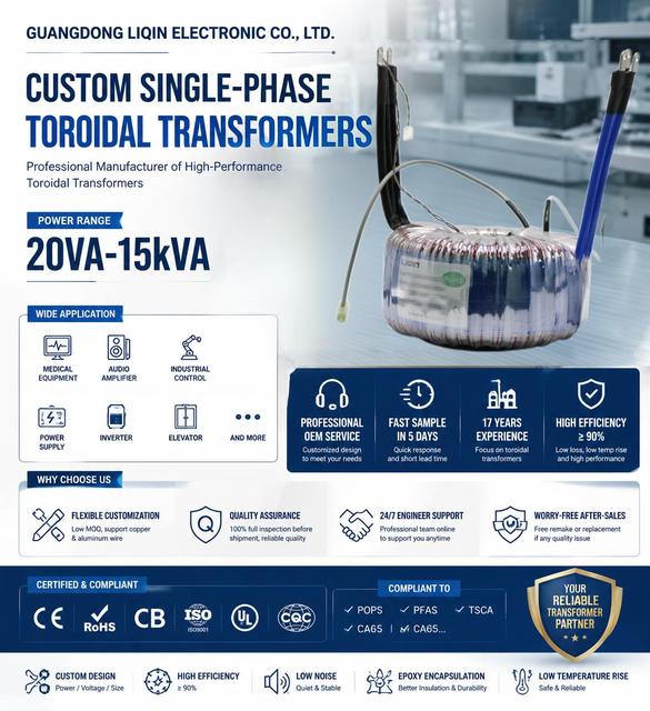 Single-Phase 110V 10A Copper Toroidal Isolation Transformer 110V Input Voltage Power Usage Coil Shape