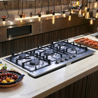 Kompor Gas Tanam 5 Tungku Stainless Steel untuk Rumah Tangga, Peralatan Dapur, Penghisap Asap