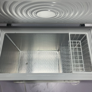 Offre Spéciale Congélateur Coffre Horizontal de 268 L, Grande Capacité, Porte Unique à Ouverture par le Haut, Froid Négatif - Product Image 5