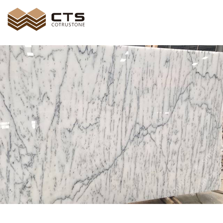 Countertop Statuario Tiles Slabs Price White Dolomite Bianco Carrara Marble Natural Polished Italian Bianco Carrara White Marble