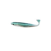 Leurre souple 6g 10cm, appât artificiel souple en plastique pour la pêche en rivière/lac/eau salée, sans hameçons, 5 pièces/sac