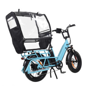 Venta caliente 250W 500W 750W Bicicletas eléctricas de carga Baterías duales 10Ah + 10Ah Bicicleta eléctrica de carga de largo alcance - Product Image 2