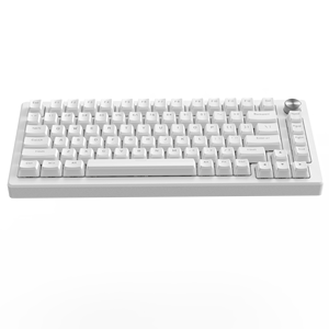 XVXプリンV2 OEM昇華ゲーム165キーPBTキーキャップに対応ANSI 61/68/84/87/98/100/104/108-キーメカニカルキーボード - Product Image 4