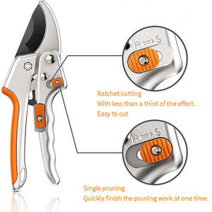 Sécateur électrique multifonctionnel DSC de haute qualité, cisailles à cliquet pour branches d'arbres et plantes, en acier inoxydable SK-5 - Product Image 2