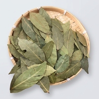 Feuilles de Laurier Brutes Séchées AD de Qualité Supérieure d'Origine Chine 50Kg Vente en Gros Guangxi pour Importateurs et Distributeurs Étrangers