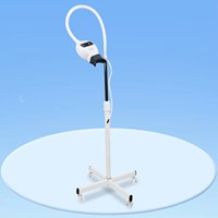 Machine de blanchiment des dents dentaires Lampe Dent LED source de lumière froide machine de blanchiment des dents professionnelle Une variété de modèles