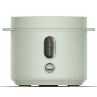 Nouveau produit 2023 : Cuiseur à riz multifonctionnel en promotion – Mini-cuiseur vapeur, sauteuse, yaourtière, mijoteuse programmable tout-en-un