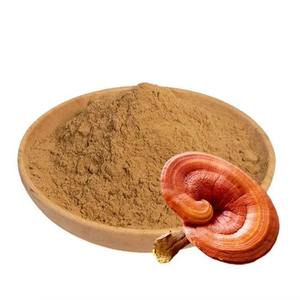 Vendita calda naturale ingrediente integratore a base di erbe Trametes Robiniophila estratto in polvere - Product Image 5