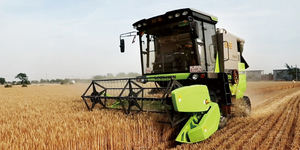 Moissonneuse-batteuse à blé de marque chinoise neuve, modèle 4LZ-8B1, à <span class=keywords><strong>prix</strong></span> avantageux - Product Image 2