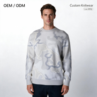 Pull en tricot jacquard géométrique pour homme, col rond, manches longues, hiver, décontracté, logo personnalisé OEM ODM