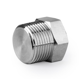 Bouchon hexagonal en acier inoxydable à filetage externe PT NPT 4 6 8 mm 22 x 1,5 mm Série DIN 300 - Product Image 3