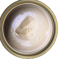 Peinture automobile or dur, mastic pour carrosserie, revêtement acrylique liquide, 1K/2K, alliage de fibres, mastic en spray pour la rénovation et la réparation de voitures