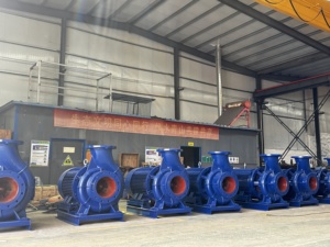 Pompe à eau centrifuge horizontale de calibre 65 mm avec un débit de 25 mètres cubes par heure - Product Image 6