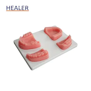 Vivid Suture Dental Pad Suturing Training Model
