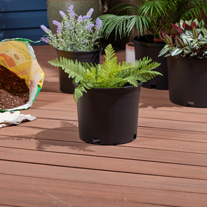 Pot de pépinière noir de 1/2/3/5/7 gallons, seau en plastique épais, pots ronds pour bonsaï, planteur pour la transplantation - Product Image 3