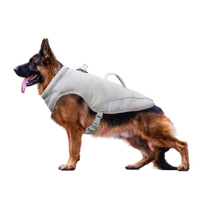 Gilet rinfrescante per cani per la prevenzione dei soffi di calore, giacca rinfrescante riflettente per animali domestici per l'esercizio quotidiano nelle estesi giornate di sole - Product Image 5