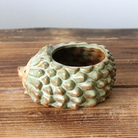 Pot succulent hérisson émaillé au four en céramique Pot pour plantes succulentes