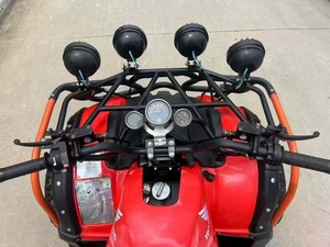 Quad à transmission automatique à chaîne 250cc 2WD à vitesse maximale supérieure LNA pour adultes - Product Image 2