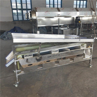 Fruitwas-En Sorteermachine Kleine Fruitsorteermachine Fruitsorteermachine Kalibratiemachine