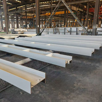 Bâtiment d'entrepôt préfabriqué à faible coût en structure acier, atelier à poutres en H, entrepôt de stockage en structure acier légère