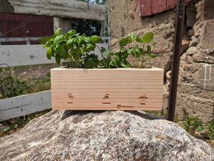 Kit de démarrage de jardin d'herbes classique, <span class=keywords><strong>basilic</strong></span>, fleurs artificielles, pots DIY, terreau, design unique pour la maison, la cuisine, le bureau - Product Image 6