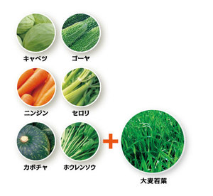 AOJIRU Poudre de boisson instantanée Feuille d'orge nutritive avec des vitamines et des minéraux Stimulation des nutriments végétaux - Product Image 3