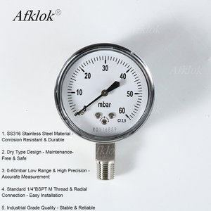 S316 शुष्क दबाव गेज 63 मिमी 0-60mbar 1/<span class=keywords><strong>4</strong></span> "bspt m रेडियल कनेक्शन-उच्च परिशुद्धता औद्योगिक गेज - Product Image 1