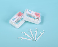 Fil dentaire portable jetable en matériau biodégradable, saveur menthe, pour le nettoyage buccal