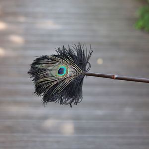 Peacock Feather Duster Bamboo Handle 19in Soft Furniture Dusting Tool Decorative Ornament Personal Gift - Product Image 4