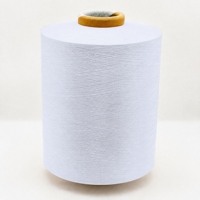Durable High Tenacity Nylon Solid Color Yarn, Pre Dyed Colored Spun Yarn, Fade Resistant Polyamide Yarn for Hosiery