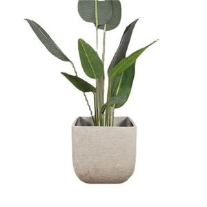 Macetas Ovaladas de Cemento Grandes para Jardín, Interiores y Exteriores - Product Image 6