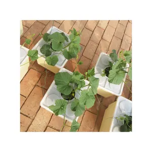 ถังไฮโดรโปนิกส์สีเหลือง,ถัง Aquaponics ดัตช์พร้อมฝาถังไฮโดรโปนิกส์