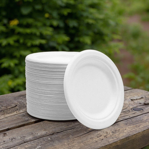 Vaisselle jetable écologique pour fête de <span class=keywords><strong>camping</strong></span> pour enfants, assiettes rondes en bagasse de 8 pouces - Product Image 1