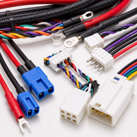 Pemasok Perakitan Kabel Profesional BeiXing Berkualitas Tinggi OEM ODM Kabel Kustom Harness Kabel Kustom