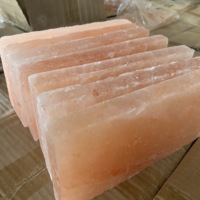 Briques de sel de l'Himalaya en gros, 100% sel de l'Himalaya naturel pur, blocs de sel pour la cuisine