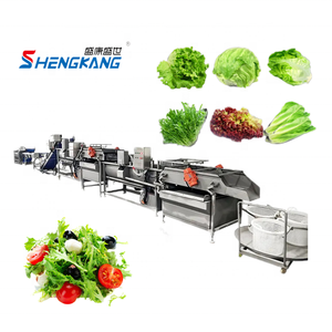 自动蔬菜水果气泡清洗机生产线，配备发动机核心部件，食品级不锈钢，处理能力500公斤/小时 - Product Image 2