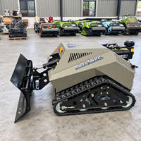 Mini-bulldozer à chenilles télécommandé CE GZ800, lame de bulldozer diesel, machine de nivellement du terrain pour la construction agricole et les vergers