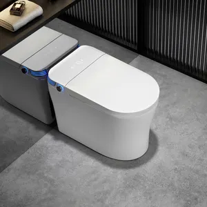 Toilette intelligente moderne personnalisée de haute qualité, une pièce, très vendue en usine