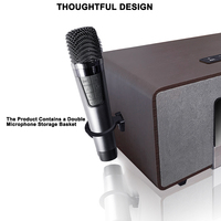 RHM-Sistema de Karaoke en casa, 2 micrófonos inalámbricos todo en uno, amplificador de potencia inalámbrico, altavoz con BT/AUX/USB/COA