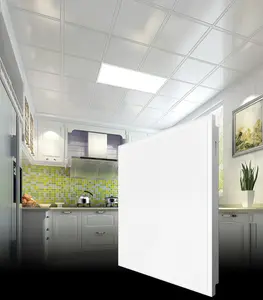 Soffitti personalizzati per la decorazione d'interni soffitto esterno isolamento termico soffitto 600