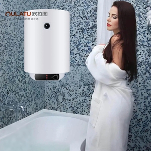 30L-100L Emaye Kaplı Depo Tipi Elektrikli Şofben Ev Banyosu İçin Sıcak Su Isıtıcıları - Product Image 2