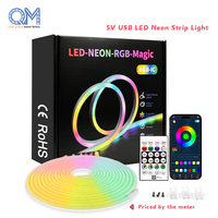 Bande LED néon flexible COB RGBW IC Dimmable Solaire USB 5M 10M pour Publicité Commerciale
