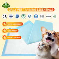 Alfombrillas Desechables Personalizadas para Orina de Mascotas, Perros y Gatos, Directo de Fábrica