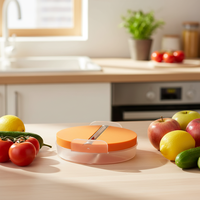UJ-GP096 Creatieve roestvrijstalen mandoline-snijmachine met opvangbak voor groenten